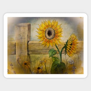 Watercolor Sunflower and Old Fence Sticker